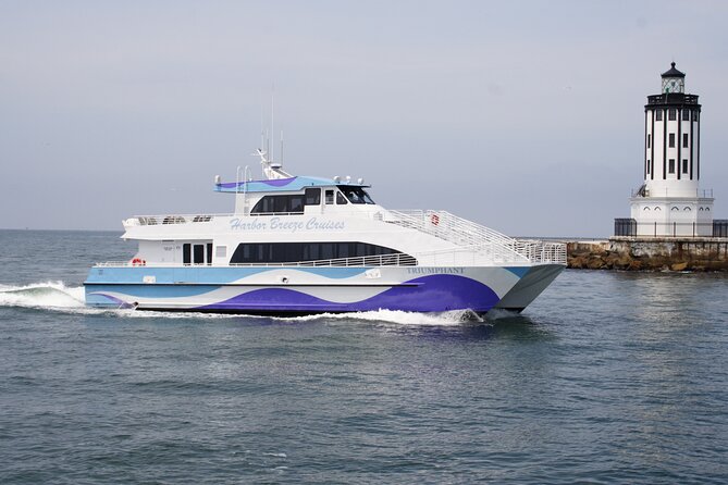 Guided Whale Watching Tour from Long Beach - How much value do you get for $35?