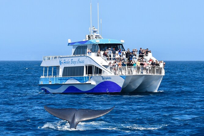Guided Whale Watching Tour from Long Beach - Leaving Long Beach beside the Queen Mary