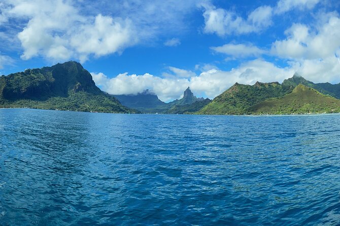 Half-Day Humpback Whales Encounter in Moorea - Why Moorea is a special place for a whale encounter