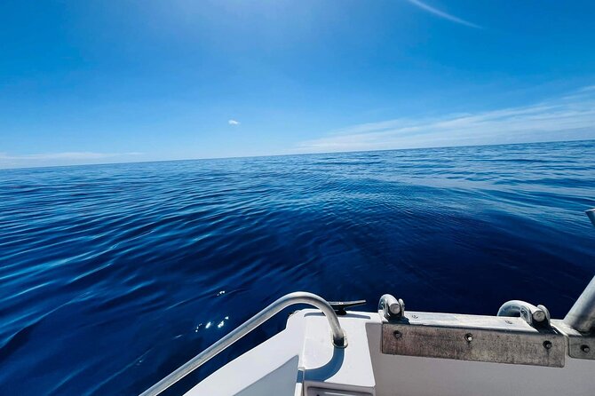 Half-Day Humpback Whales Encounter in Moorea - Six people in the water, twelve on the boat
