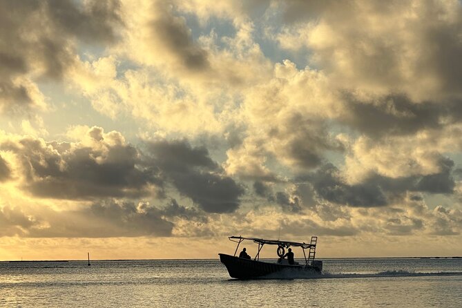 Half-Day Humpback Whales Encounter in Moorea - What the whale encounter may look like