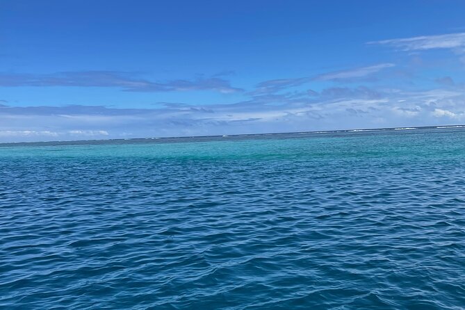 Half-Day Humpback Whales Encounter in Moorea - Local culture is part of the four-hour trip