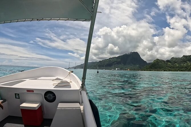 Half-Day Humpback Whales Encounter in Moorea - Who should book this Moorea whale trip?