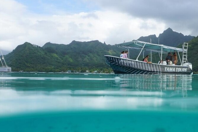 Half-Day Humpback Whales Encounter in Moorea - Searching Moorea’s coast for returning humpbacks