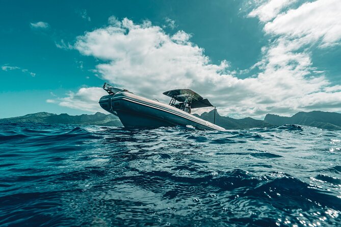 Half Day Private Whale Watching in Moorea - Four private hours aboard Inutai