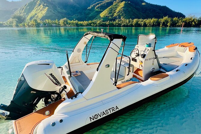 Half Day Private Whale Watching in Moorea - The rules protect the whales and your experience