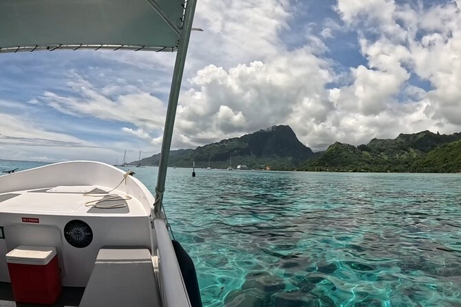 Half Day Private Whale Watching in Moorea - Who will enjoy this private outing most