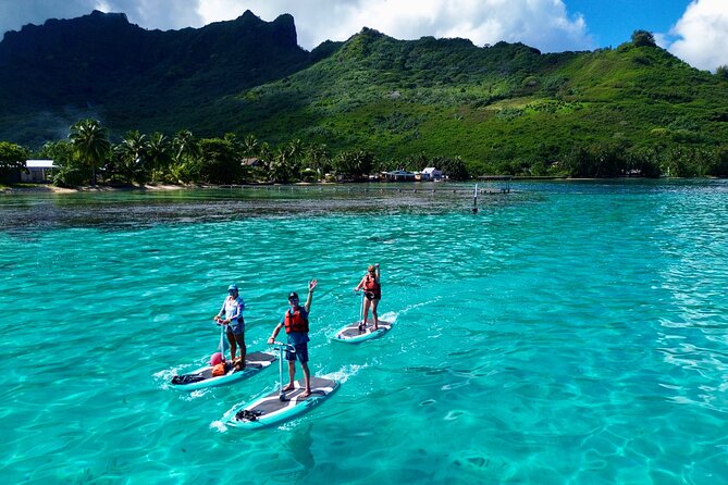 Half Day Small Group Whale Watching - Snorkeling equipment and time in the water