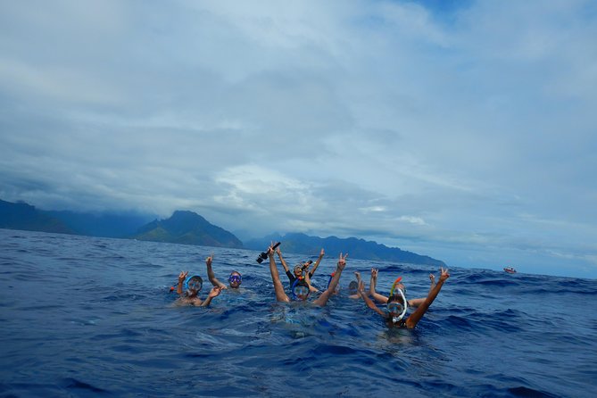 Half day whale tour 4h00 - The six-person water limit and what it means