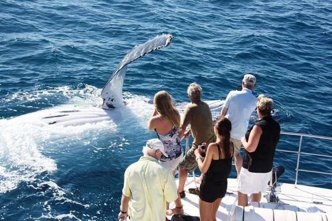Half-Day Whale Watching Sunset Cruise from Broome - Key points to know before booking