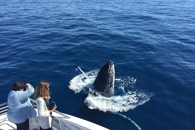 Half-Day Whale Watching Tour from Burnett Heads with Lunch - Reef Empress or Main Event on the Humpback Highway