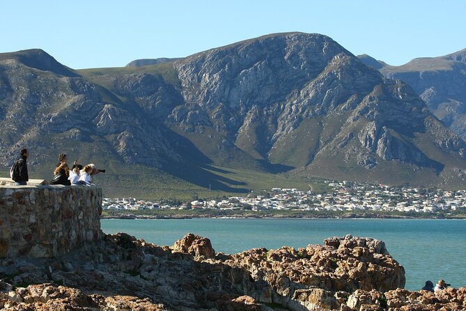 Hermanus Land based Whale Tour with Dave de Beer - Why Hermanus works so well for land-based whale watching