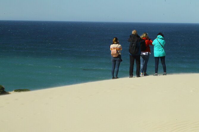 Hermanus Land based Whale Tour with Dave de Beer - How the private format affects the experience