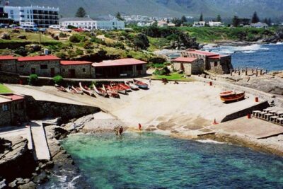 Hermanus Whale Coast Wine Tour (Cape To Grape Wine Tours)