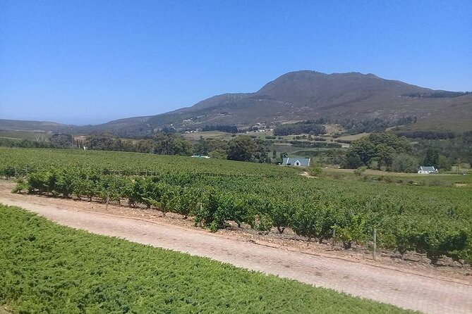 Hermanus Whale Coast Wine Tour (Cape To Grape Wine Tours) - Spookfontein and the value of several estates