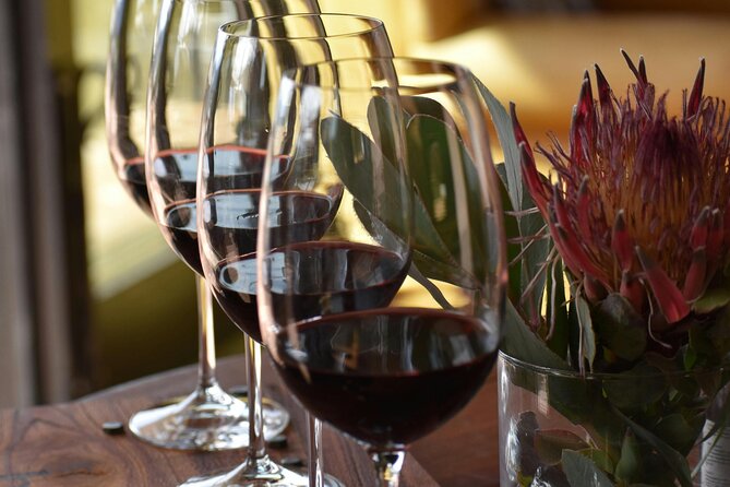 Hermanus Whale Watching and Wine Tasting - Is $235 a fair price?