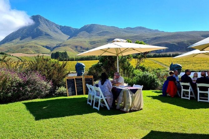 Hermanus Whale Watching and Wine Tasting Private Tour - Wine tasting in the Hemel-en-Aarde hills