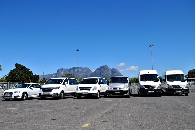 Hermanus Whales and Wine Full Day Private Tour - From Cape Town to the Hermanus whale route