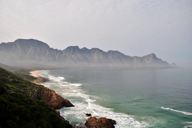 Hermanus Whales and Wine Full Day Private Tour - What the $197.68 price really covers