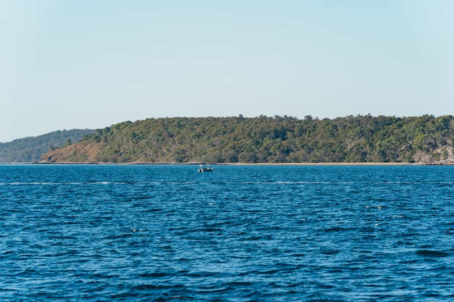 Hervey Bay: Exclusive Whale Watch Encounter - The possible in-water platform