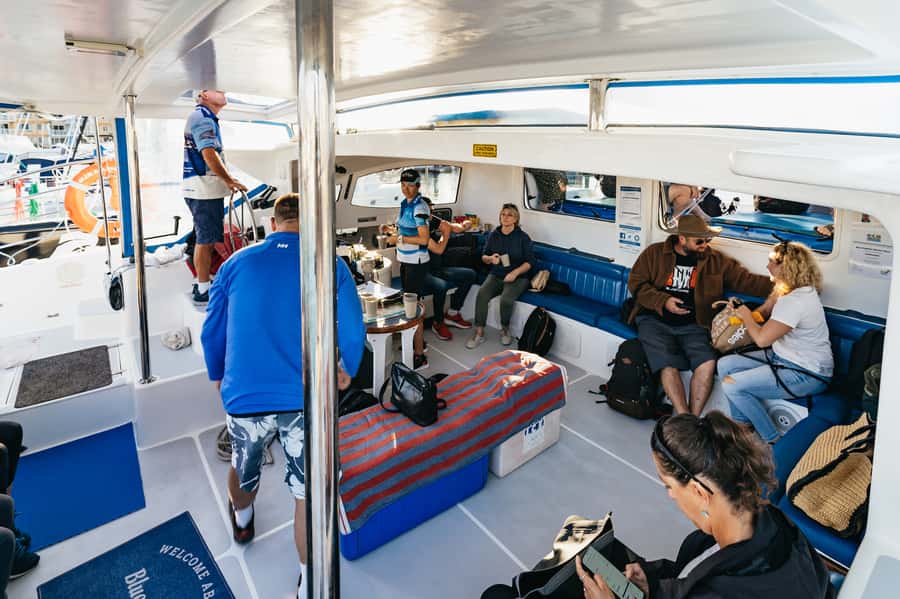 Hervey Bay: Exclusive Whale Watch Encounter - A full day with food included