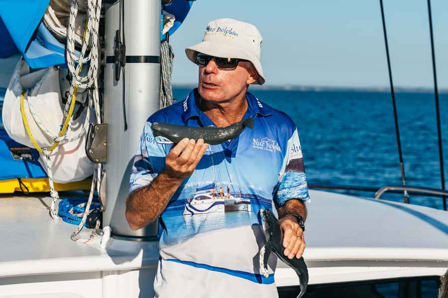 Hervey Bay: Exclusive Whale Watch Encounter - What the price includes at $138