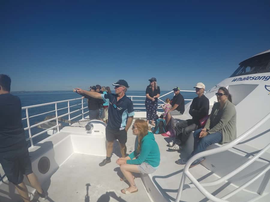 Hervey Bay: Half-Day Whale Watching Cruise with Meal - What to bring to the marina