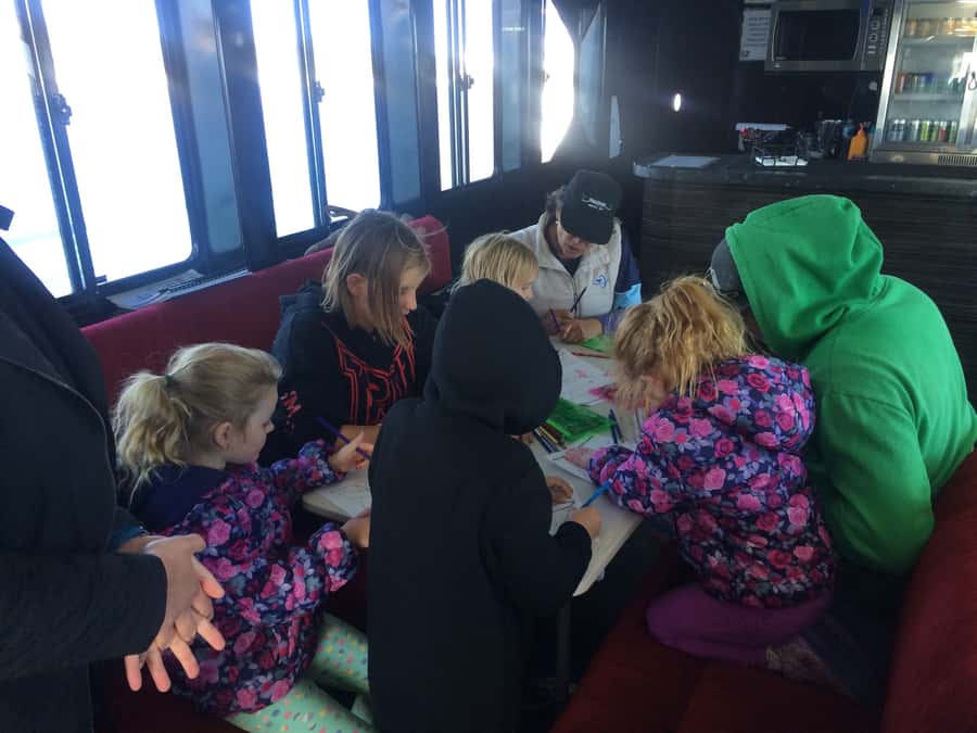 Hervey Bay: Half-Day Whale Watching Cruise with Meal - Who will get the most from this cruise