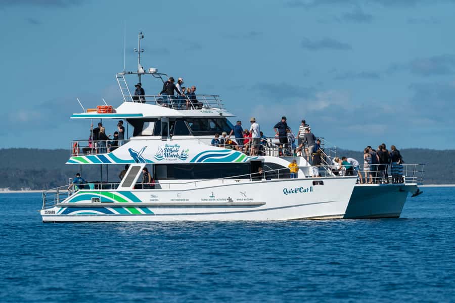 Hervey Bay: Humpback Whale-Watching Half-Day Cruise - Quick points before you book