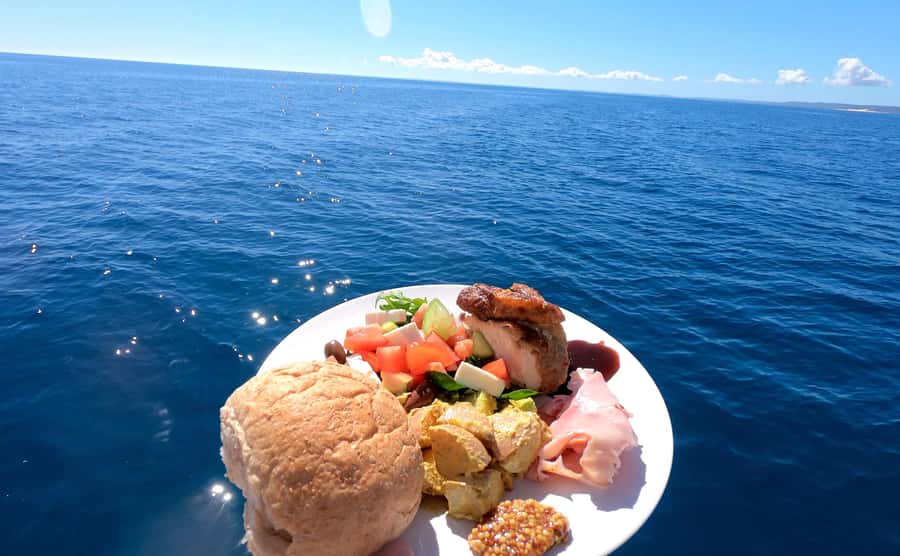 Hervey Bay: Pre-season Whale and Dolphin Watching Cruise - Key points to know before booking