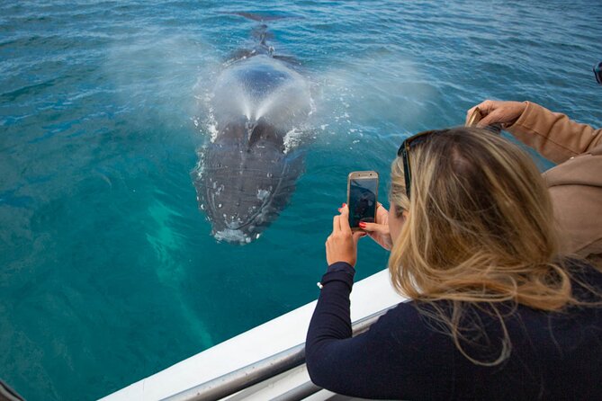 Hervey Bay Ultimate Whale Watching Cruise - Listening to whale communication underwater