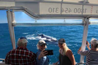 Ultimate Whale Watching Experience