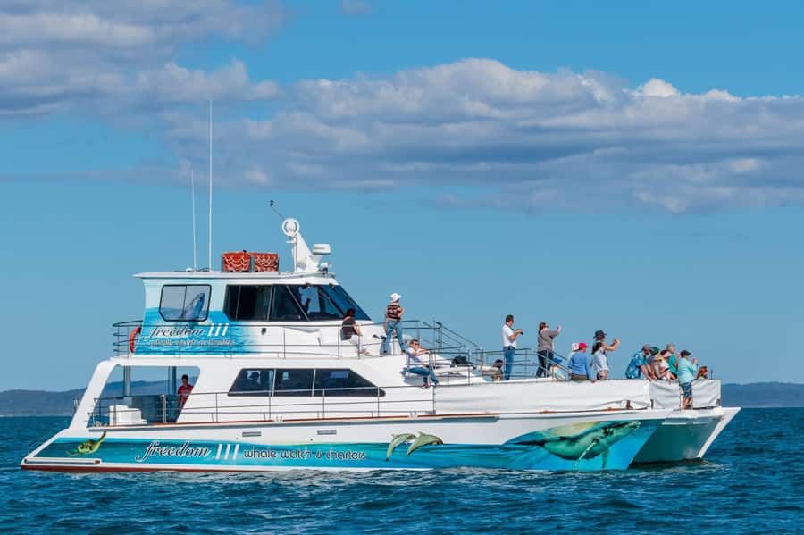 Hervey Bay Whale Odyssey Cruise - From Urangan Marina to the whale grounds