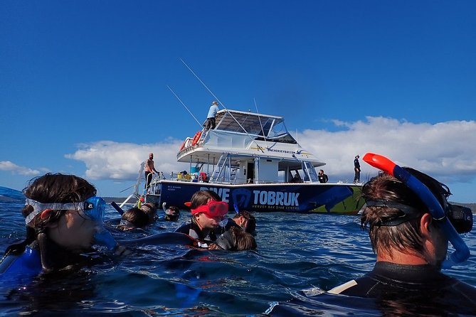Hervey Bay Whale Swim and Watch - Families and swimming ability
