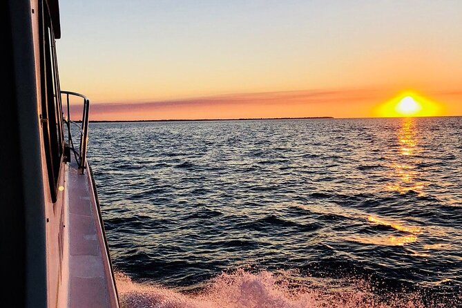 Hervey Bay Whale Swim and Watch - Practical details before you reserve