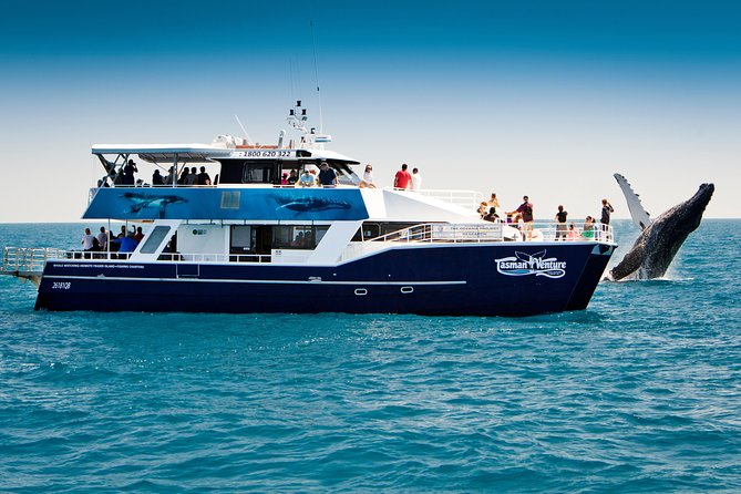 Hervey Bay Whale Watching Cruise - Setting out from Urangan Marina