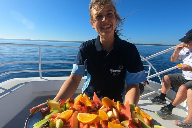 Hervey Bay Whale Watching Experience - Key points to know before booking