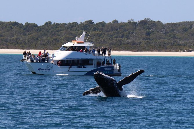 Hervey Bay Whale Watching Experience - Choosing the five-hour morning cruise