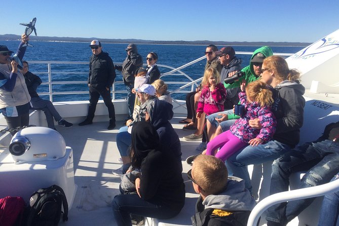 Hervey Bay Whale Watching Experience - Choosing the afternoon and sunset cruise