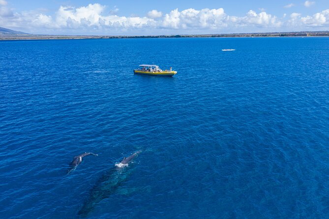 HIGH QUALITY Whale Watch Adventure Aboard Luxury Super Raft - Hearing whale songs through the hydrophone