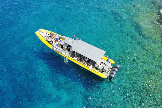 HIGH QUALITY Whale Watch Adventure Aboard Luxury Super Raft - Choosing the best people for this boat