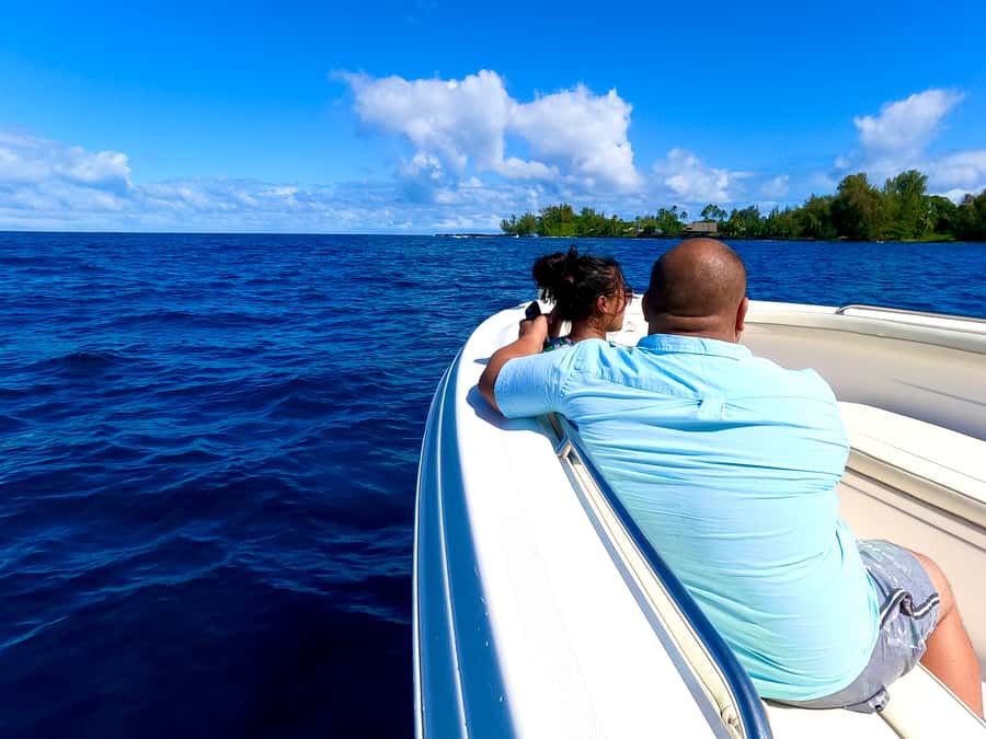 Hilo: Humpback Whale-Watching Cruise with Snacks and Drinks - Why the Wellcraft Scarab changes the experience