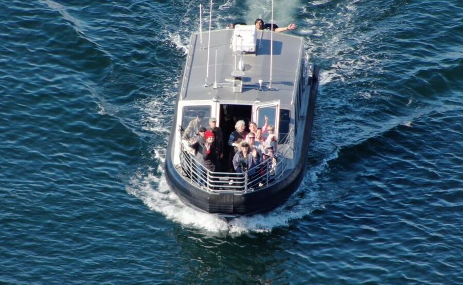 Hoonah: Icy Strait Whale Watch with Drone Filmography - What the price includes at $255
