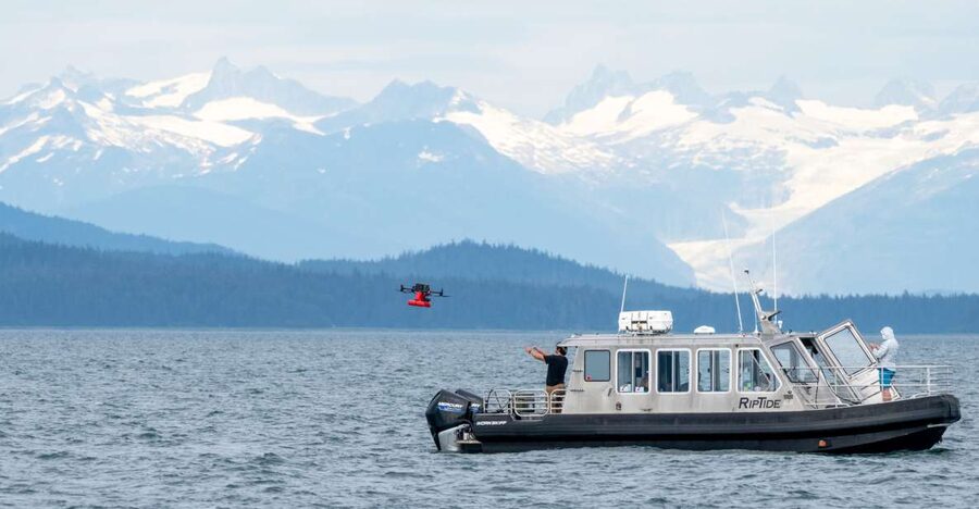 Hoonah: Icy Strait Whale Watch with Drone Filmography - Wildlife highlights you might see