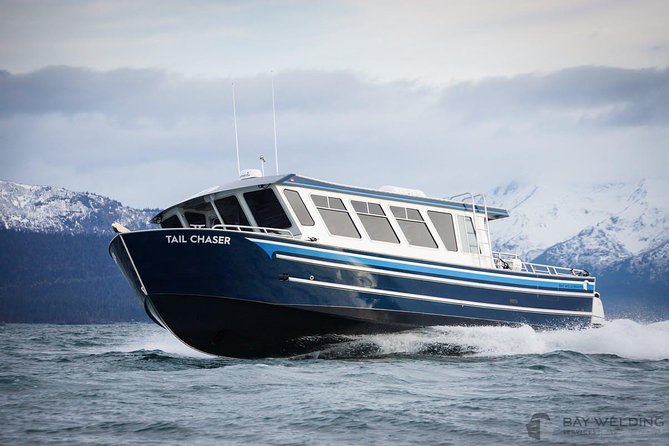 Hoonah Whale-Watching Cruise - Near Icy Strait Point - Why Hoonah is a strong place for whale watching
