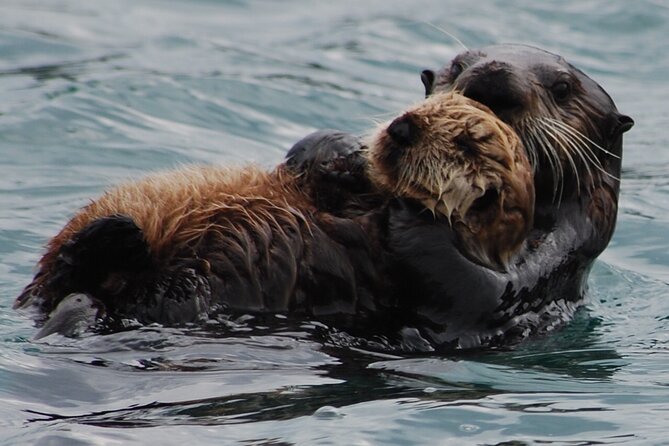Hoonah Whale-Watching Cruise - Near Icy Strait Point - What the boat is like in Alaska weather