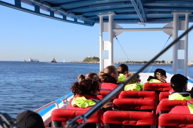 Humpback Whale Encounter Tour from Newcastle - A small boat with useful comforts