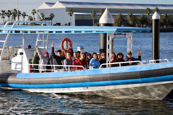 Humpback Whale Encounter Tour from Newcastle - Families, couples, and solo visitors