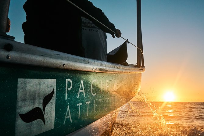 Humpback whale watching and marine life in Moorea - The 5:00 AM departure is worth considering