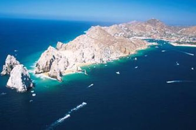 Humpback Whales in Cabo San Lucas - Key points to know before booking